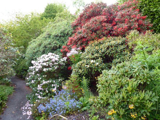 Branklyn Garden